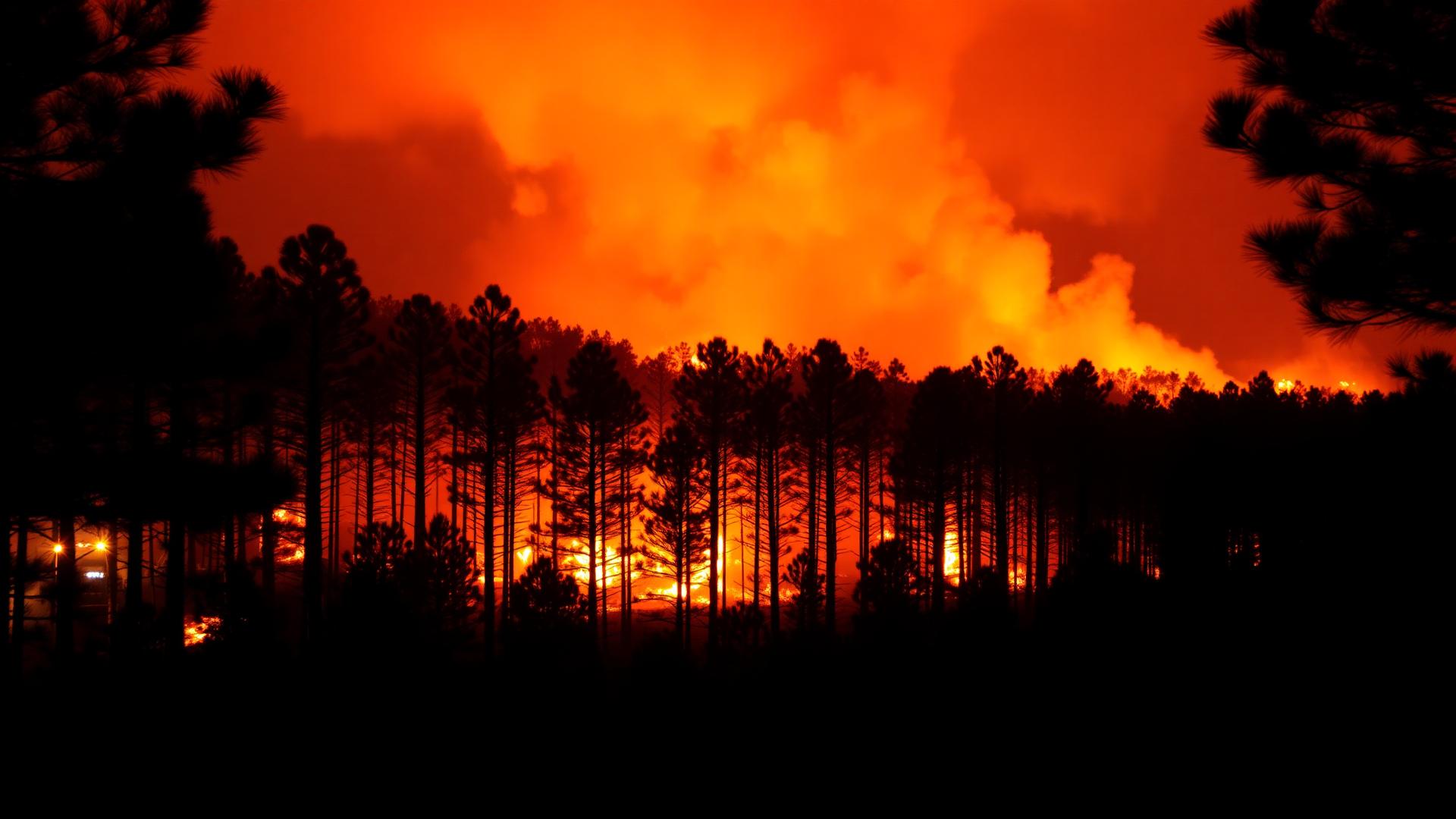 42 000 hectares, 220 000 évacués : l'incendie le plus dévastateur en France depuis 1949